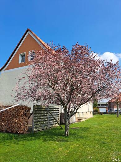 Wohnung zur Miete 420 € 2 Zimmer 52,1 m² frei ab 01.07.2025 Am Bokeberg 6 Darlingerode Ilsenburg 38871