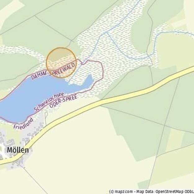 Grundstück zum Kauf 67.000 € 11.673 m² Grundstück Leißnitz Friedland 15848