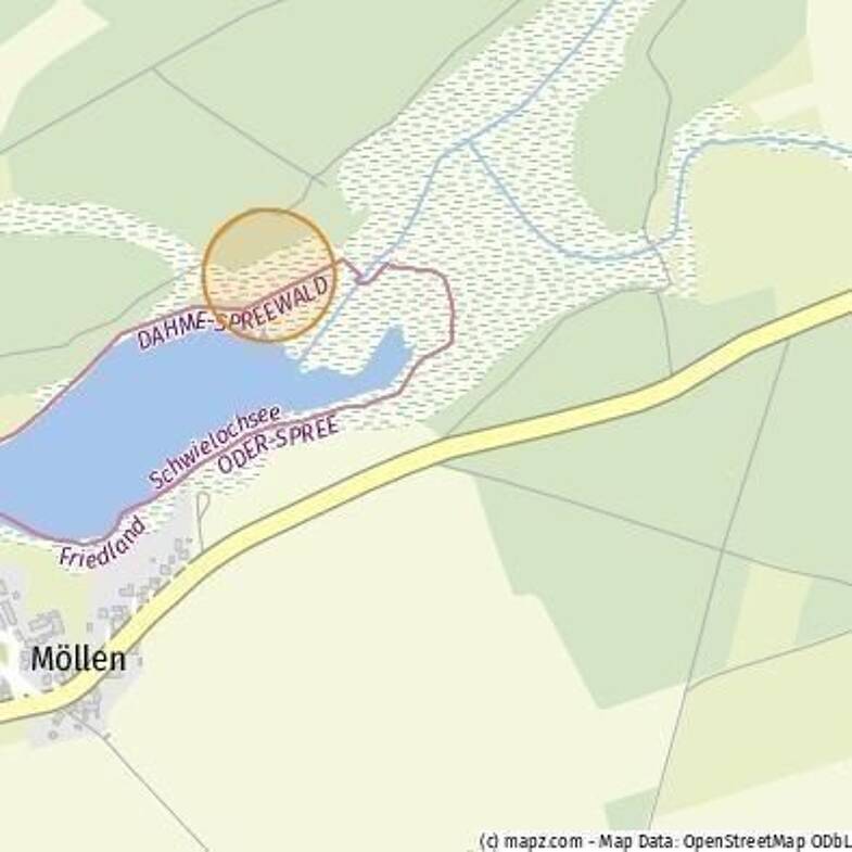 Grundstück zum Kauf 67.000 € 11.673 m² Grundstück Leißnitz Friedland 15848