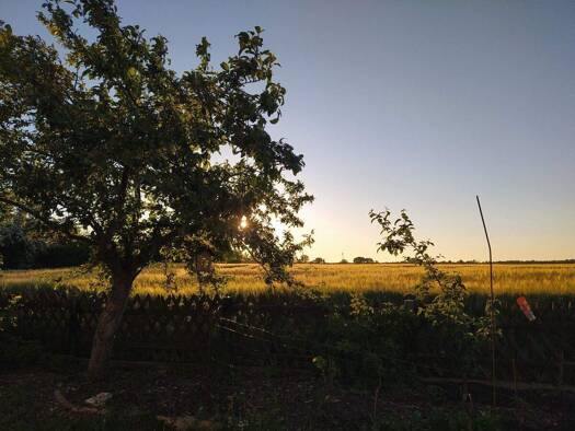 Einfamilienhaus zum Kauf 310.000 € 4 Zimmer 146 m² 1.149 m² Grundstück Hirschfelde Hirschfelde / Werneuchen Ost 16356