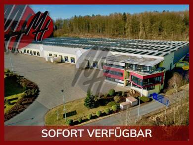 Halle/Industriefläche zur Miete 10.000 m² Lagerfläche Mülheim Mülheim-Kärlich 56218