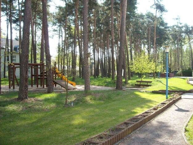 Wohnung zur Miete 335 € 2 Zimmer 47 m² 2. Geschoss Birkenallee 8 Roßlau Dessau-Roßlau 06862