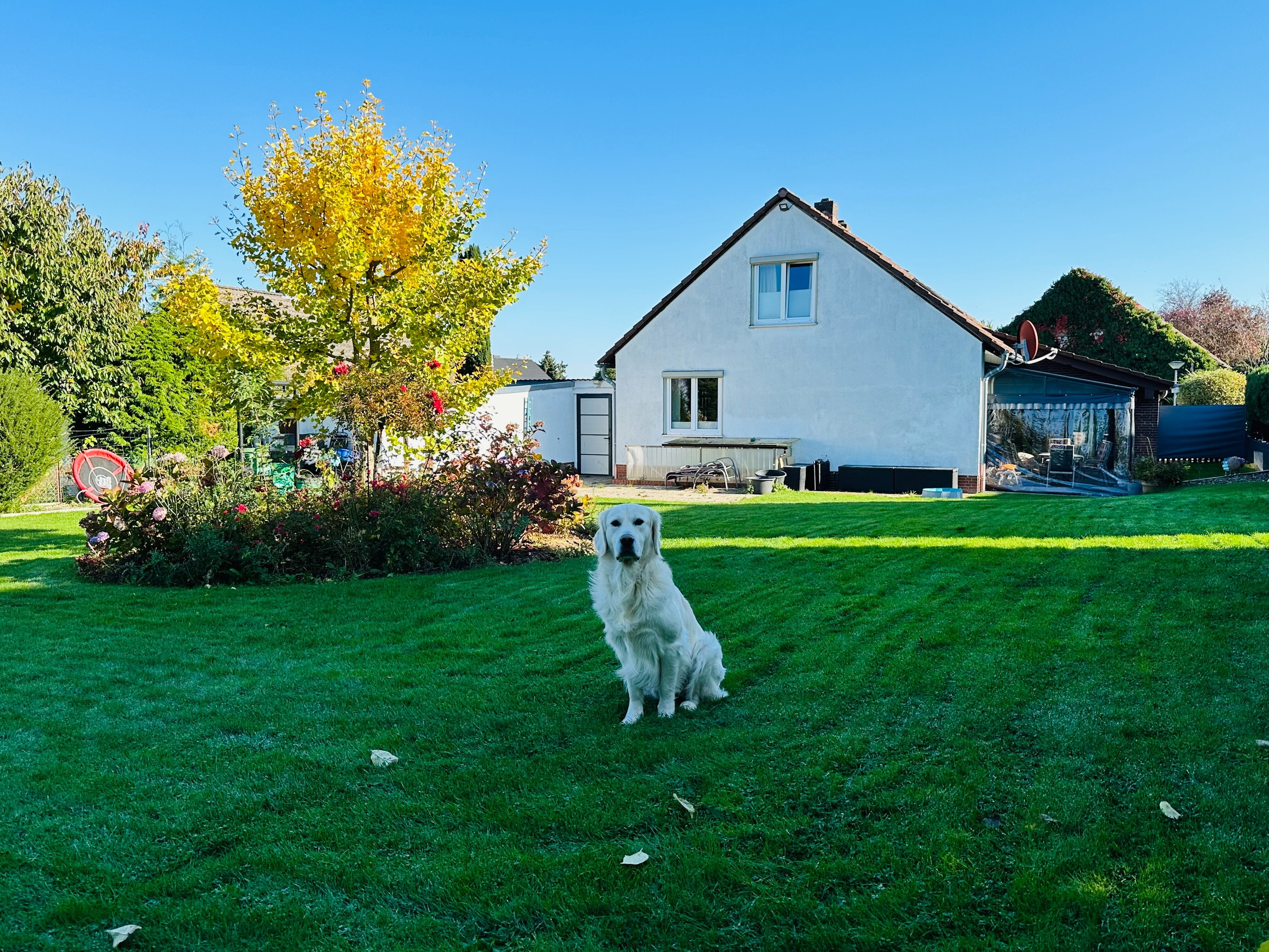 Einfamilienhaus zum Kauf 325.000 € 4 Zimmer 130 m²<br/>Wohnfläche 870 m²<br/>Grundstück 01.01.2025<br/>Verfügbarkeit Lichtenberg Salzgitter 38228