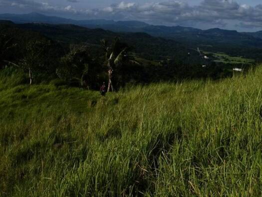 Haus zum Kauf 1.741.000 € 1 Zimmer 65.000 m² Grundstück Odiongan 5505