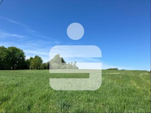 Grundstück zum Kauf 165.000 € 1.800 m² Grundstück Ruhstorf 94099