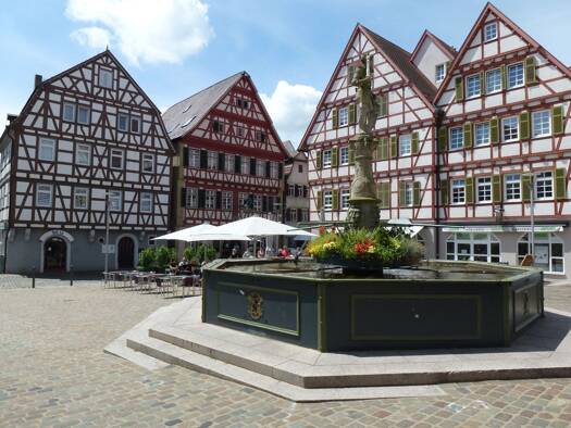 Sonstiges zum Kauf als Kapitalanlage geeignet 830.000 € 13 Zimmer 218,2 m² Leonberg Leonberg 71229