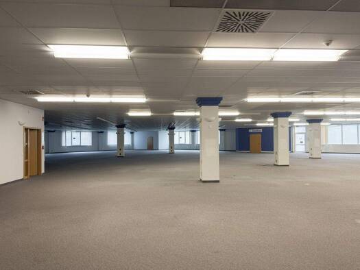 Bürofläche zur Miete provisionsfrei 4 € 5 Zimmer 727 m² Bürofläche Pasewalk 17309