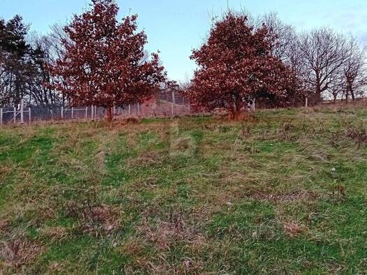 Grundstück zum Kauf 89.500 € 1.404 m² Grundstück Kinderbeuern 54538