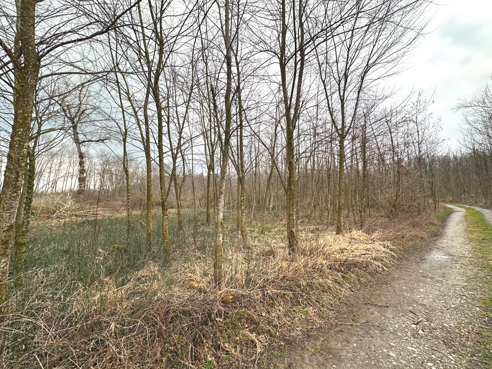 Land-/Forstwirtschaft zum Kauf 37.000 € 4.346 m²<br/>Grundstück Vogtareuth 83569