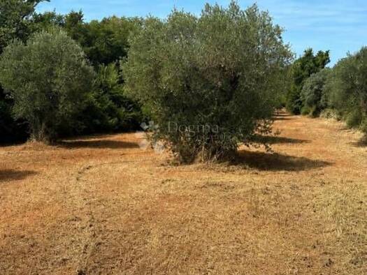 Acker-/Waldstück zum Kauf 45.000 € Bale Bale 52211