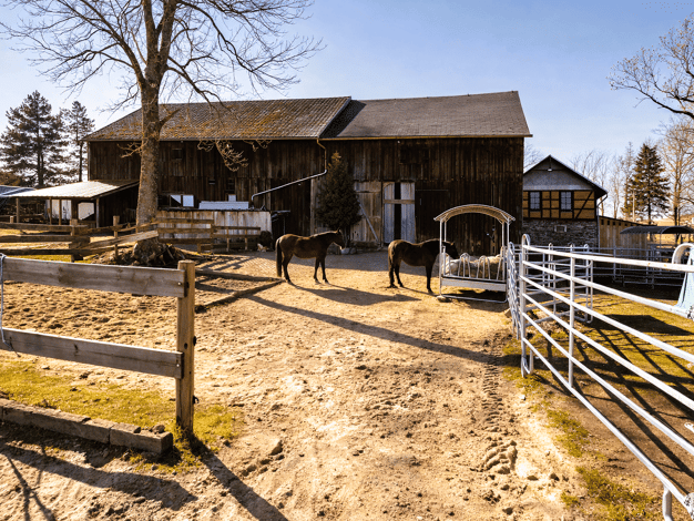 Bauernhaus zum Kauf 790.000 € 10 Zimmer 300 m² 114.866 m² Grundstück Blankenstein 07366