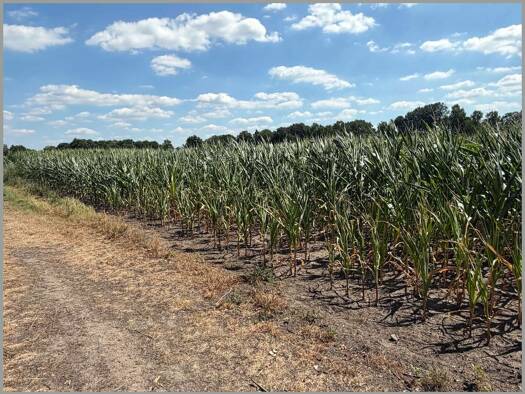 Landwirtschaftliche Fläche zum Kauf 148.000 € 10.578 m² Grundstück Atter Osnabrück 49076