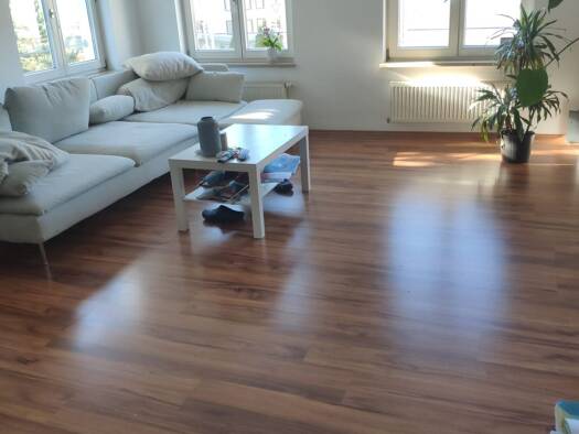 Wohnung zur Miete 650 € 2 Zimmer 60 m² Geschoss 1/4 frei ab 01.02.2026 Wollmatingen Konstanz 78467