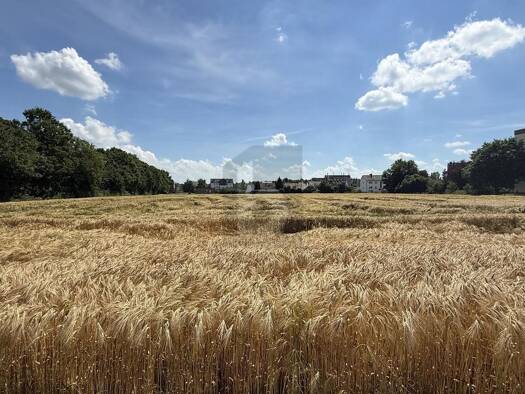 Grundstück zum Kauf 100 € 12.130 m² Grundstück Wabern Wabern 34590
