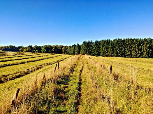 Grundstück zum Kauf provisionsfrei 985.000 € 3.750 m² Grundstück Lüdenscheid 58509