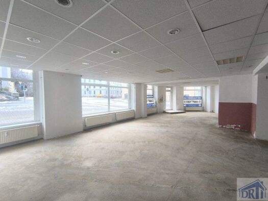 Verkaufsfläche zur Miete provisionsfrei 1.100 € 163,4 m² Verkaufsfläche Zittau 02763