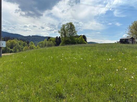 Grundstück zum Kauf 919 m² Grundstück ID 983 Aurach am Hongar 4861