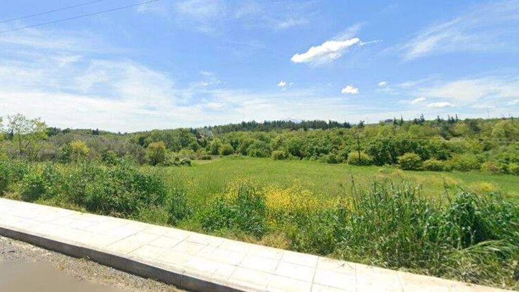 Land-/Forstwirtschaft zum Kauf 160.000 € 6.500 m² Grundstück Olympische Riviera