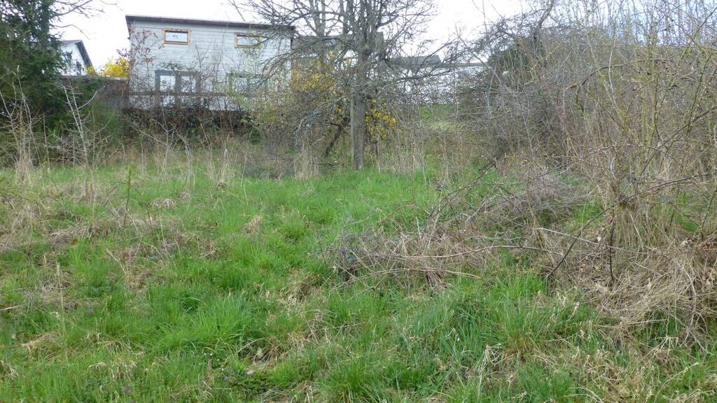 Grundstück zum Kauf 114.000 € 464 m² Grundstück Harpelsteinstraße 32 Horath 54497