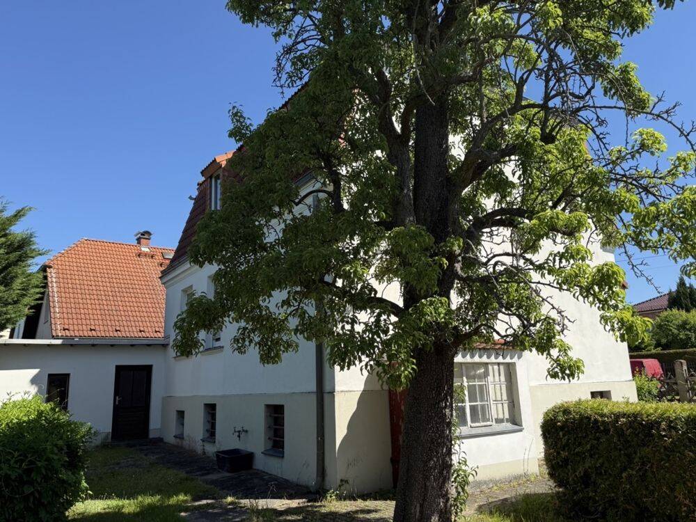 Einfamilienhaus zum Kauf - Widok 5
