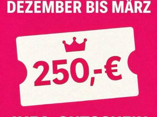 Wohnung zur Miete 255 € 1 Zimmer 37,6 m² 1. Geschoss frei ab sofort Margaretenstraße 31 Hilbersdorf Chemnitz 09131