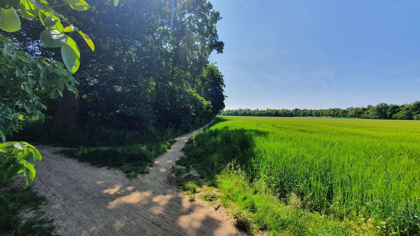 Property thumbnail 14