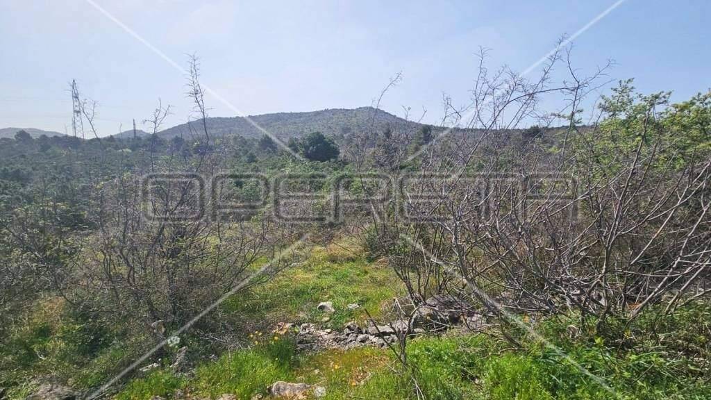 Land-/Forstwirtschaft zum Kauf 600.000 € Bilice