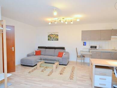 Wohnung zur Miete Wohnen auf Zeit 595 € 1 Zimmer 43 m² frei ab sofort Reichelsdorf Nürnberg 90453