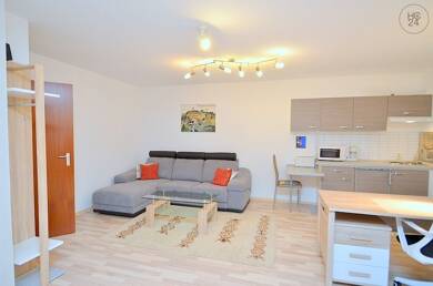 Wohnung zur Miete Wohnen auf Zeit 610 € 1 Zimmer 43 m² frei ab sofort Reichelsdorf Nürnberg 90453