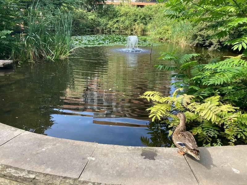 Property thumbnail 17