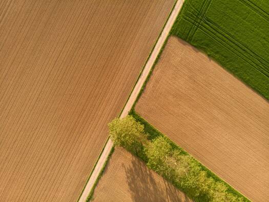 Land-/Forstwirtschaft zum Kauf 196.000 € 15.739 m² Grundstück Illertissen Illertissen 89257