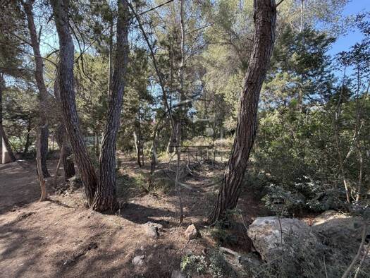 Wohn- und Gewerbegrundstück zum Kauf 850.000 € Santa Eulària des Riu 07849