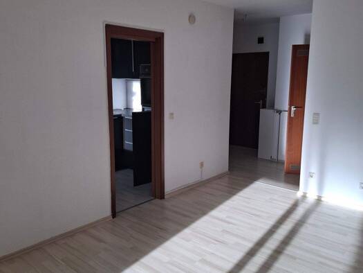 Wohnung zur Miete 580 € 1 Zimmer 45 m² Bleiweiß Nürnberg 90461