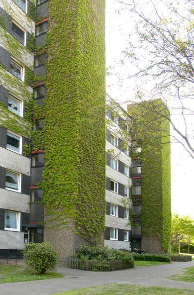 Wohnung zur Miete 579 € 3 Zimmer 72 m² EG Bonmannshof 3 Neumühl Duisburg 47167