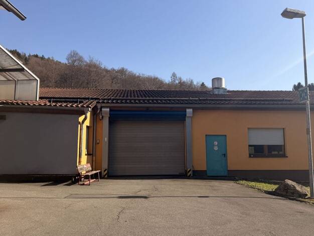 Lagerhalle zur Miete 5.500 € 1.400 m² Lagerfläche Straßburg 18 Wald-Michelbach Wald-Michelbach 69483