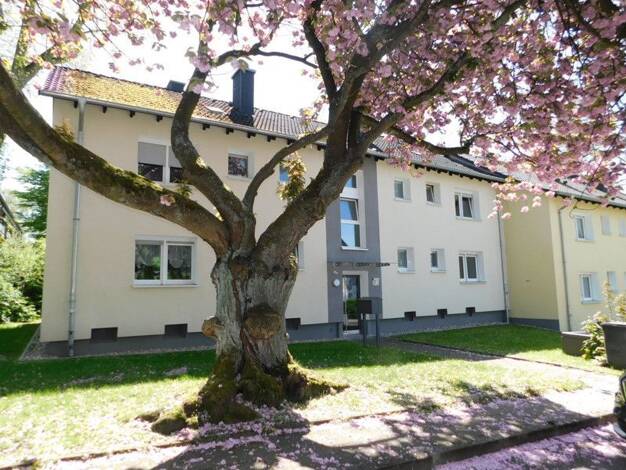 Wohnung zur Miete 545 € 1,5 Zimmer 43,2 m² 1. Geschoss frei ab 01.08.2026 Wolfsdelle 8 Überruhr-Hinsel Essen 45277