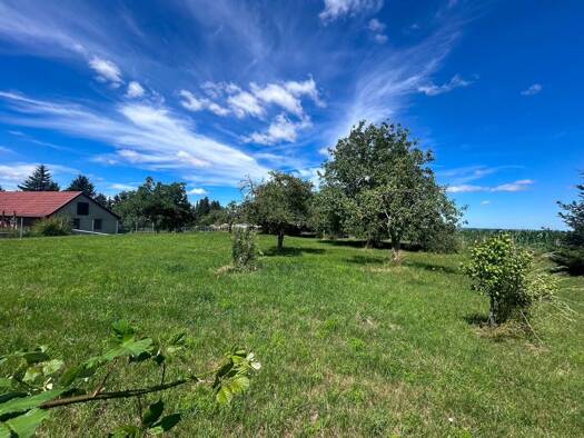 Grundstück zum Kauf 236.000 € 2.492 m² Grundstück Bad Sulza 99518
