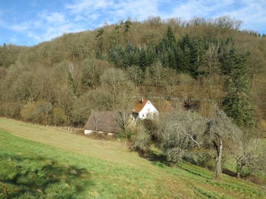 Bauernhaus zum Kauf 249.000 € 7 Zimmer 160 m² 8.887 m² Grundstück Allemühl Schönbrunn 69436