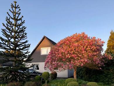 Haus zum Kauf provisionsfrei 495.000 € 4 Zimmer 145 m² 783 m² Grundstück Pappelweg 18 Siedlung Daheim-Heimgarten Ammersbek 22949