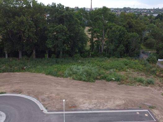 Grundstück zum Kauf 78.705 € 583 m² Grundstück Aschersleben 06449