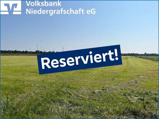 Land-/Forstwirtschaft zum Kauf 59.317 m² Grundstück Hoogstede 49846