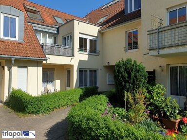 Wohnung zur Miete 300 € 1 Zimmer 39 m² 1. Geschoss frei ab 15.11.2024 Radeberger Straße 20a Weißig (An der Prießnitzaue) Dresden 01328