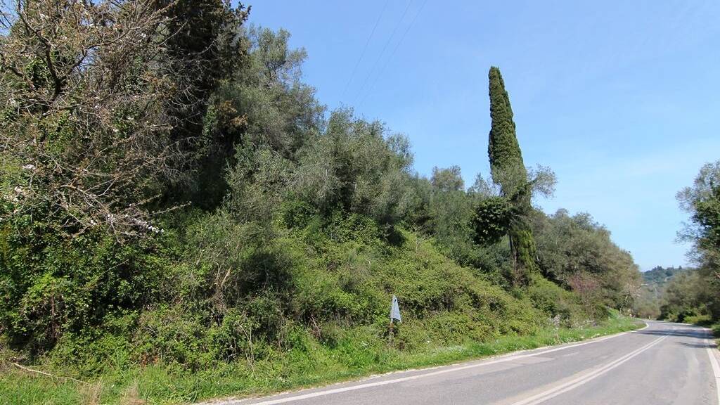 Land-/Forstwirtschaft zum Kauf 120.000 € 4.400 m² Grundstück Korfu