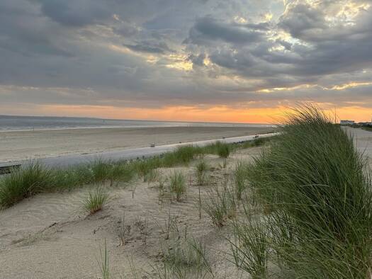 Haus zum Kauf 1.600.000 € 7 Zimmer 213,4 m² 418 m² Grundstück Elbestraße 22 Norderney 26548