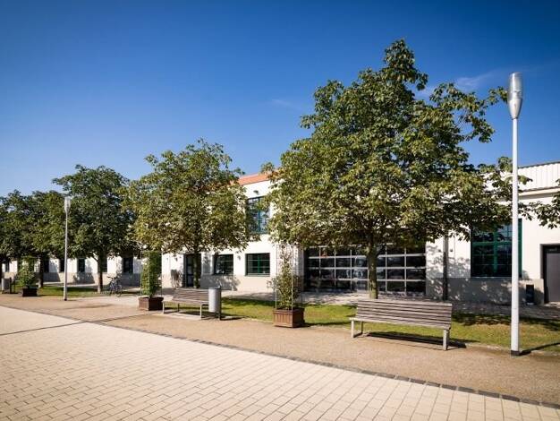 Bürofläche zur Miete provisionsfrei 11,56 € 260 m² Bürofläche Friedrichstadt Dresden 01067