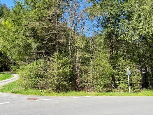 Grundstück zum Kauf 78.500 € 1.140 m² Grundstück frei ab sofort Falkenauel Daleiden 54673