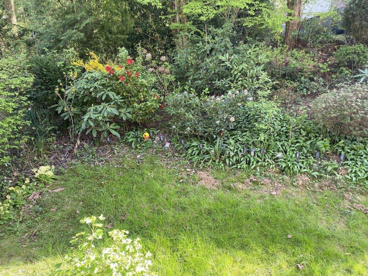 Immobilie in Mettmann - Garten ETW in ruhiger Lage von Mettmann - Bild 0