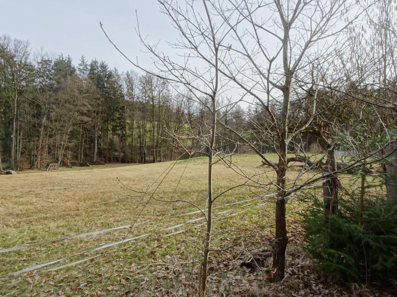 Grundstück zum Kauf 450.000 € 1.000 m²<br/>Grundstück vorhanden<br/>Baugenehmigung Alt-Vogelhof 6 Vogelhof Lauf an der Pegnitz 91207