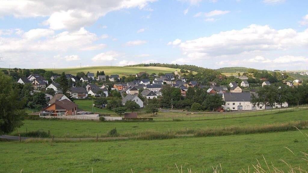 Grundstück zum Kauf 49.000 € 2.490 m² Grundstück Hinter der Gott Herl 54317