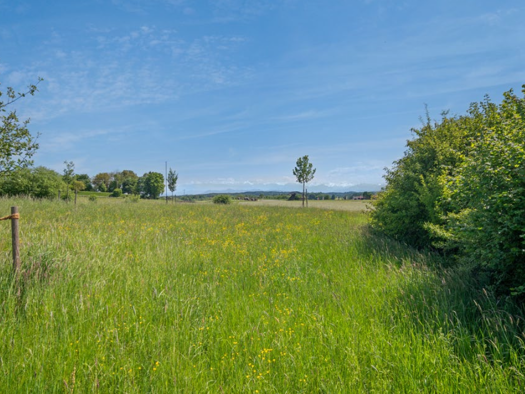 Grundstück zum Kauf 890.000 € 930 m² Grundstück Pähl 82396
